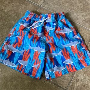 Southbound Swim Trunks